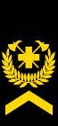 Wachtmeister